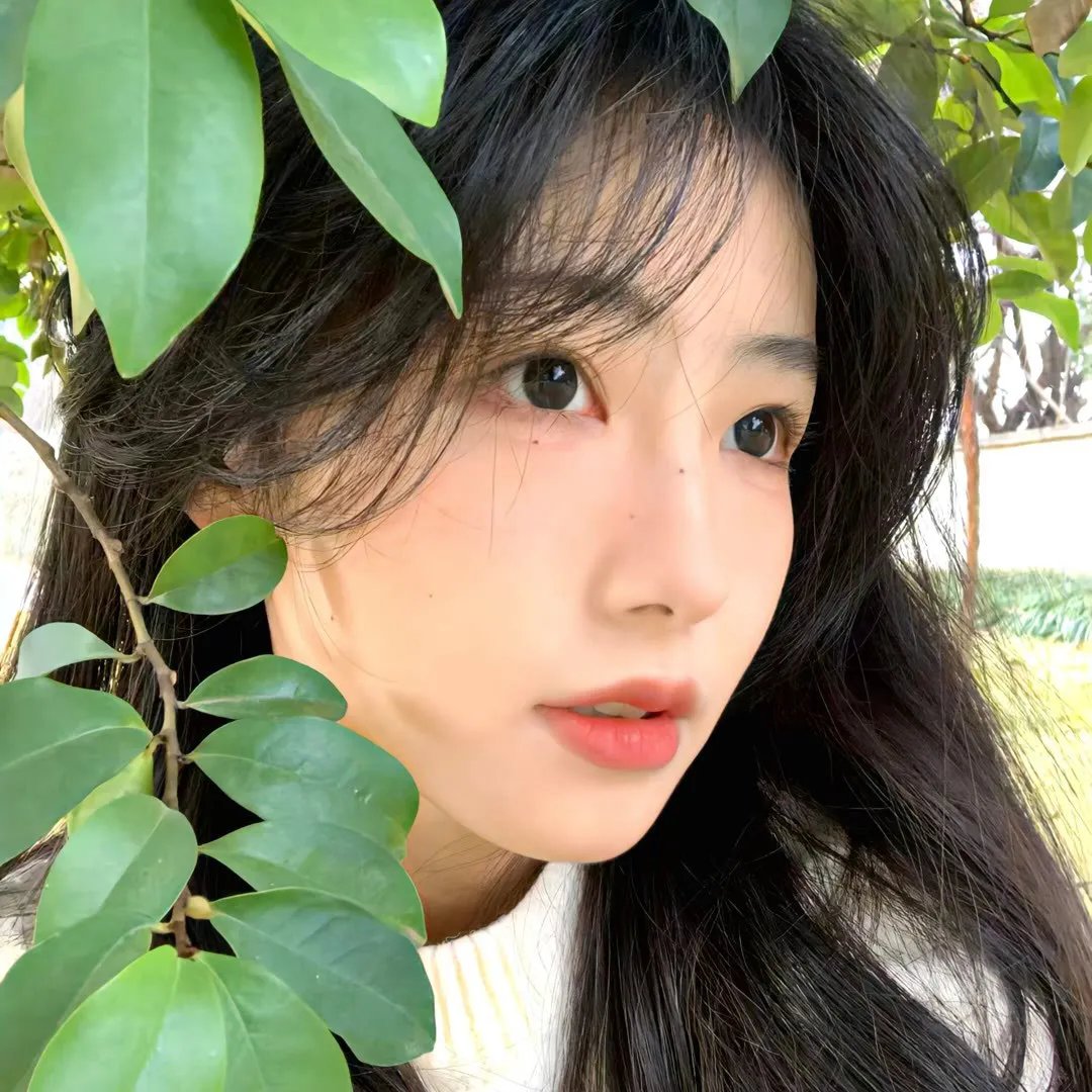 禅在此山中